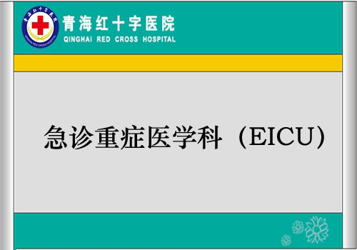急诊重症医学科（EICU）