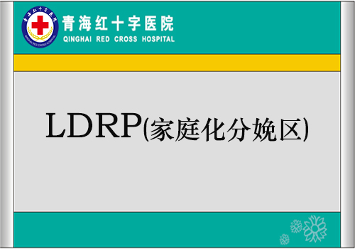 LDRP (家庭化分娩区)